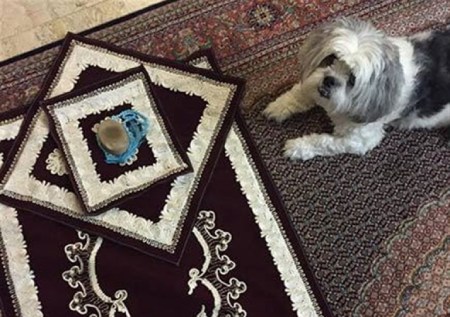 تقدس سجاده و نماز در اسلام