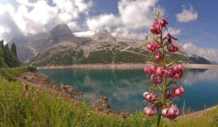 جاذبه‌های گردشگری دولومیت‌ها, تاریخچه کوه‌های دولومیت