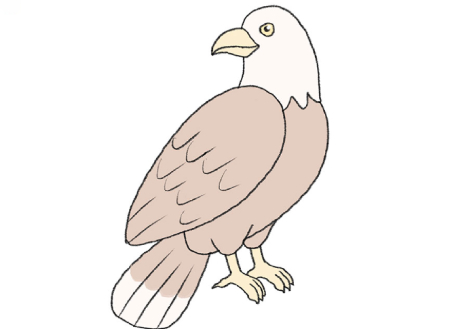 یادگیری نقاشی عقاب مخصوص کودکان