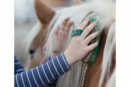 راهنمای خرید لوازم سوارکاری, لوازم ضروری سوارکاری