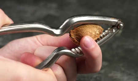 هسته زردآلو, بو دادن هسته زردآلو