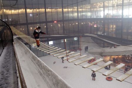 پل معلق در پارک پنگوئن کیش