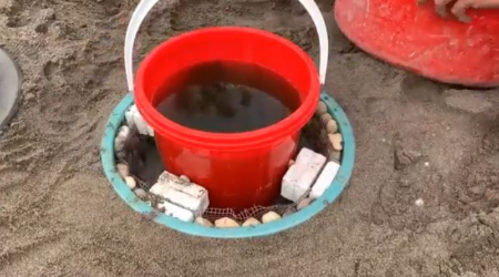 آموزش ساخت گلدان بزرگ, گلدان بتنی