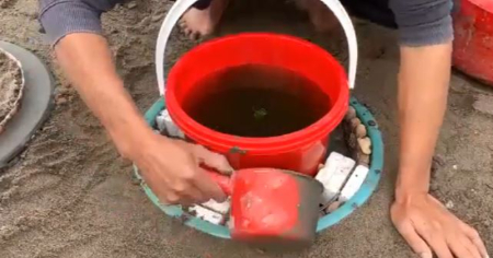 آموزش ساخت گلدان بزرگ, گلدان بتنی