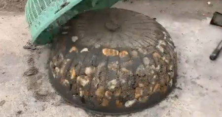 آموزش ساخت گلدان بزرگ, گلدان بتنی