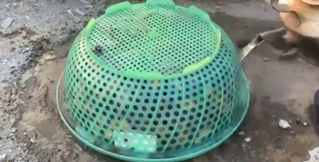 آموزش ساخت گلدان بزرگ, گلدان بتنی