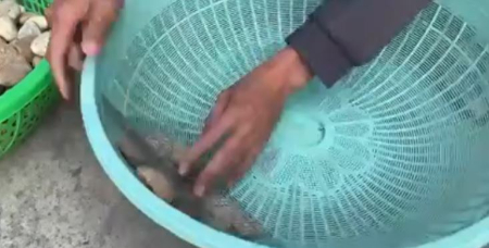 آموزش ساخت گلدان بزرگ, گلدان بتنی