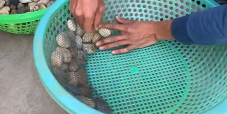 آموزش ساخت گلدان بزرگ, گلدان بتنی