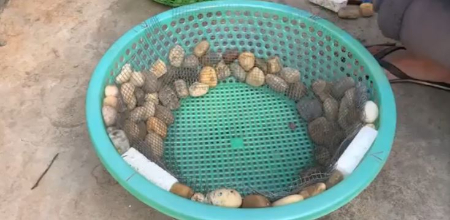 آموزش ساخت گلدان بزرگ, گلدان بتنی