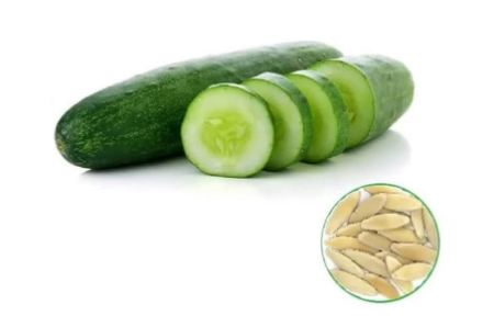 فروش انواع بذر خیار