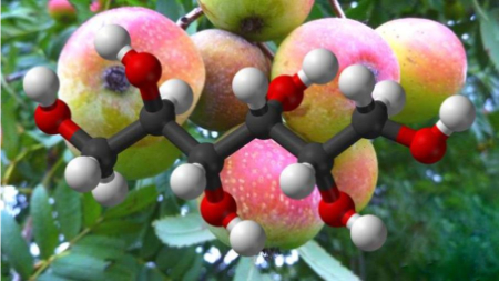 سربیتول چیست, فواید سربیتول بدنسازی