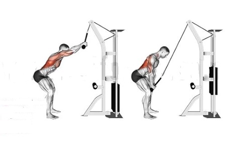  پول اور سیم کش ایستاده, پلاور سیم کش ایستاده خم, پلاور سیم کش ایستاده