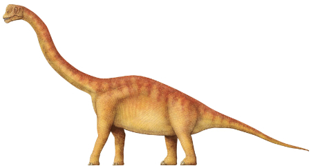  دندان‌های فسیل‌شده دایناسور‌ها,اخبارگوناگون,خبرهای گوناگون 