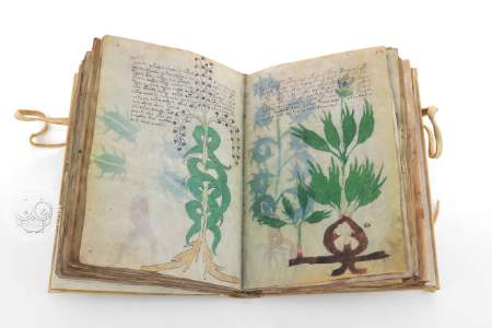 راز 500 ساله نسخه خطی وینیچ ,اخبارگوناگون,خبرهای گوناگون 