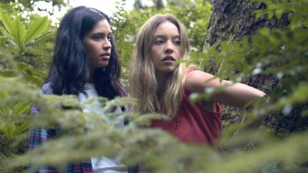 سیدنی سوئینی،اخبار فرهنگی،خبرهای فرهنگی