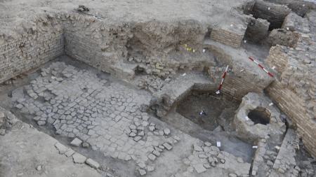 سکه،اخبار اجتماعی،خبرهای اجتماعی