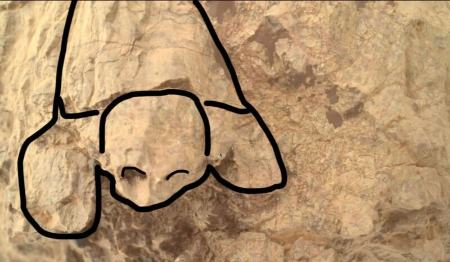 مریخ،اخبار علمی،خبرهای علمی