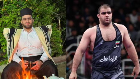 فعالیت حرفه ای امین میرزازاده