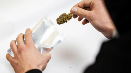 اختلال مصرف کانابیس, اعتیاد به ماری‌جوانا