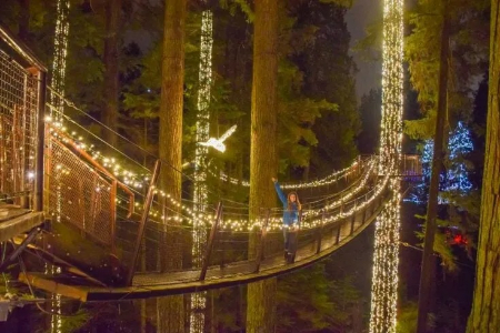 پل معلق کاپیلانو,پل کاپیلانو ونکوور