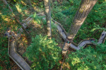 پل معلق کاپیلانو,پل کاپیلانو ونکوور