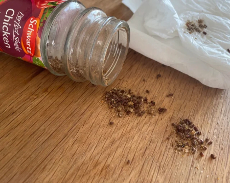 از بین بردن حشره ادویه, حشره ادویه چیست