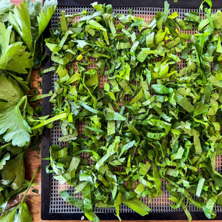 خشک کردن برگ کرفس, طرز خشک کردن برگ کرفس