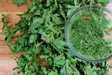 خشک کردن برگ کرفس, طرز خشک کردن برگ کرفس