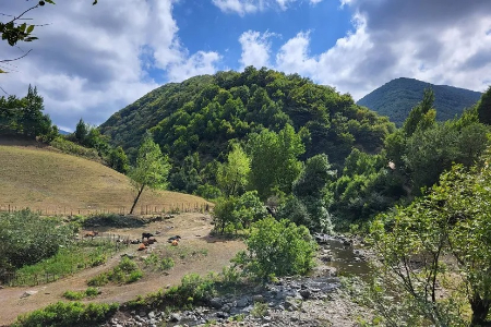 روستای گیلده, گیلاده آستارا