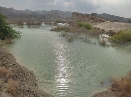 طبیعت سد گوران