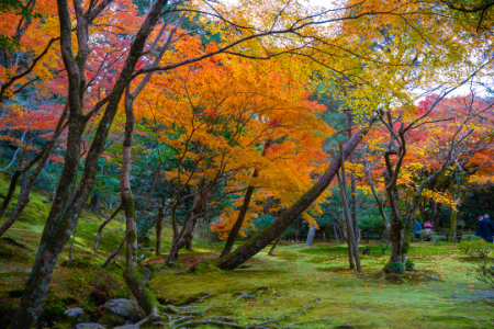 معبد کینکاکو جی, پاویون نقره‌ای کیوتوجاذبه‌های کیوتو