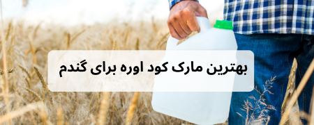 بهترین کود نیتروژن برای گندم