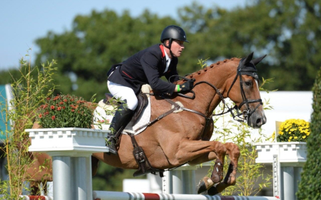 آموزش سوارکاری حرفه‌ای,چگونه سوارکار حرفه‌ای شویم