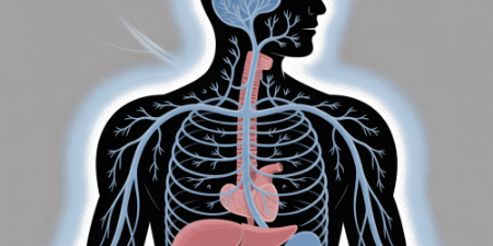 ماساژ گوش برای آرامش, فعال کردن سیستم پاراسمپاتیک