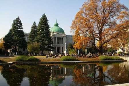 پارک اوئنوتوکیو, شکوفه‌های گیلاس