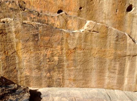 شتر باستانی،اخبار گوناگون،خبرهای گوناگون