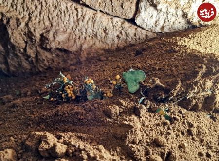 اشیا تاریخی،اخبار گوناگون،خبرهای گوناگون