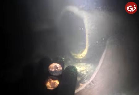 گنج،اخبار گوناگون،خبرهای گوناگون