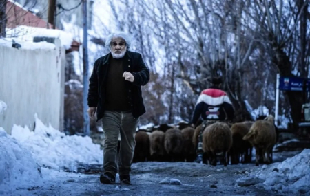 بیوگرافی ابراهیم امینی, جوایز  ابراهیم امینی