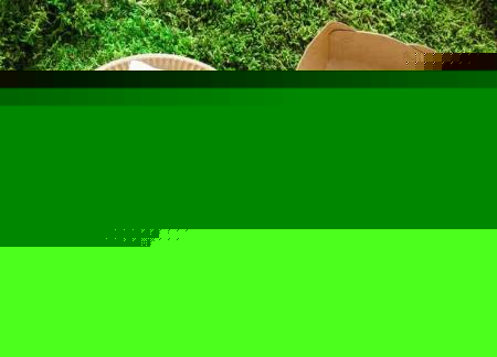 ظروف گیاهی پیکنیک
