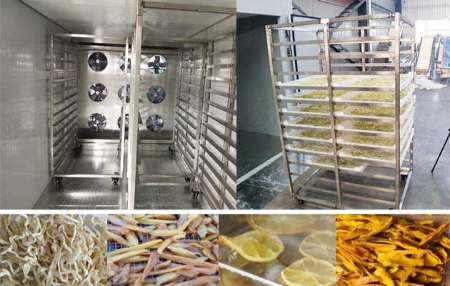 دستگاه خشک‌کن میوه, میوه خشک‌کن 