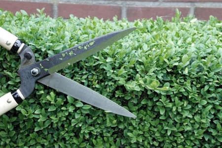 طرح قیچی باغبانی, قیچی باغبانی برقی, مشخصات قیچی باغبانی برقی