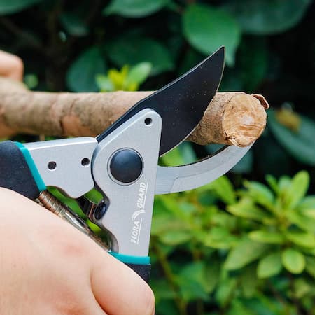  کاربردهای قیچی باغبانی, نحوه خرید قیچی باغبانی, قیچی هرس