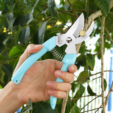 کاربردهای قیچی باغبانی, نحوه خرید قیچی باغبانی, قیچی هرس