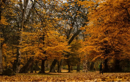 جاهای دیدنی تهران پاییز, گردشگری تهران پاییز