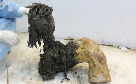 ماموت،اخبار علمی،خبرهای علمی