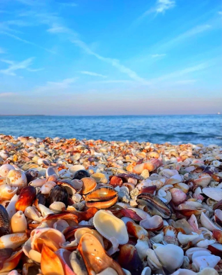 ساحل دستیر, ساحل دستیر پارسیان