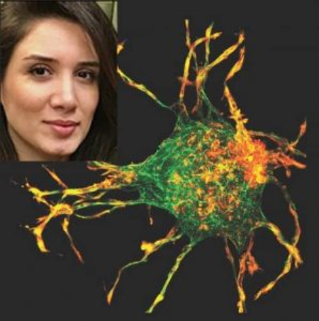 دانشمند ایرانی, ترمیم زخم