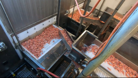 تونل انجماد, تونل انجماد سریع, تونل انجماد چیست