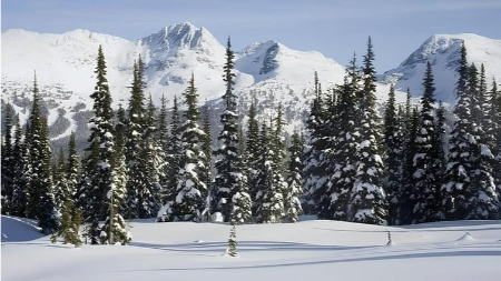 گلمارگ کجاست, جاذبه های گردشگری گلمارگ